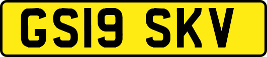GS19SKV