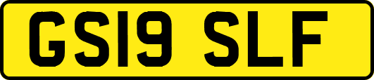 GS19SLF