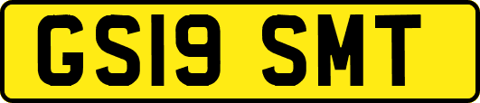 GS19SMT