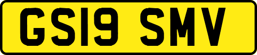 GS19SMV