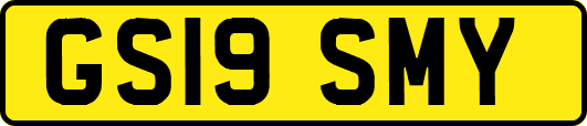 GS19SMY