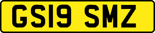 GS19SMZ