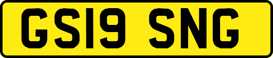 GS19SNG