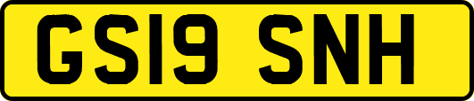 GS19SNH