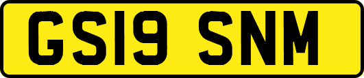 GS19SNM