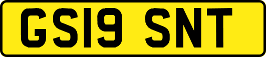 GS19SNT