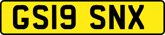 GS19SNX