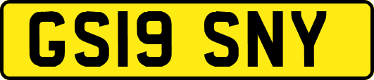 GS19SNY