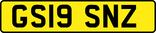 GS19SNZ