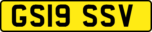 GS19SSV