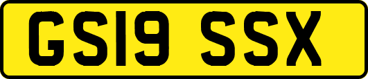 GS19SSX