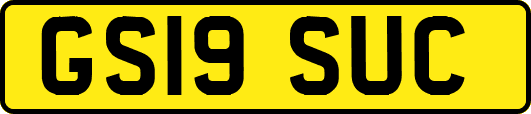 GS19SUC