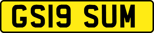 GS19SUM