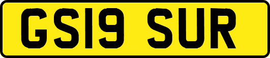 GS19SUR