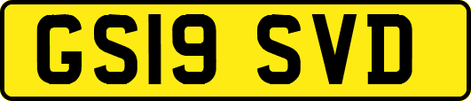 GS19SVD