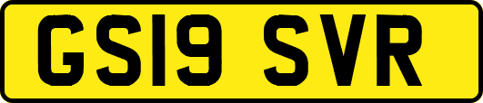 GS19SVR