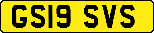 GS19SVS