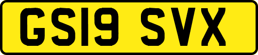 GS19SVX