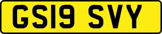 GS19SVY