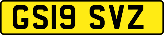 GS19SVZ