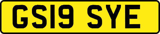 GS19SYE
