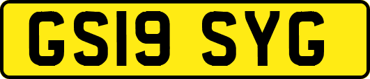 GS19SYG