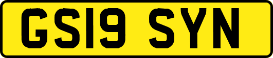 GS19SYN