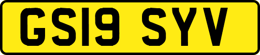 GS19SYV
