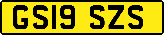 GS19SZS