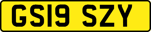 GS19SZY