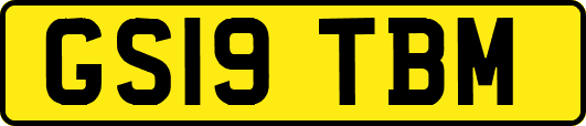 GS19TBM