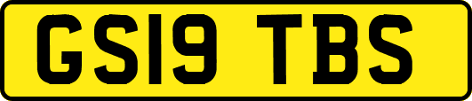 GS19TBS