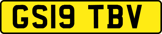 GS19TBV