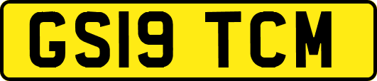 GS19TCM
