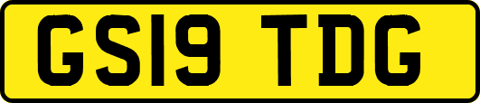 GS19TDG