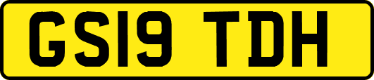GS19TDH