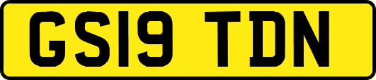 GS19TDN