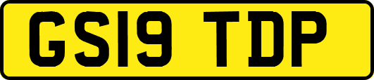 GS19TDP
