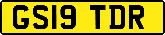 GS19TDR