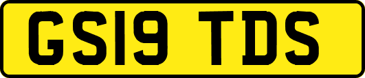 GS19TDS