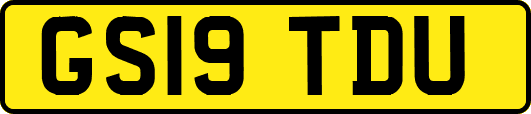 GS19TDU