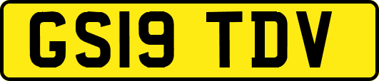 GS19TDV