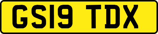 GS19TDX