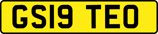 GS19TEO