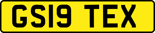 GS19TEX