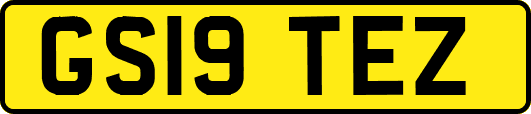 GS19TEZ