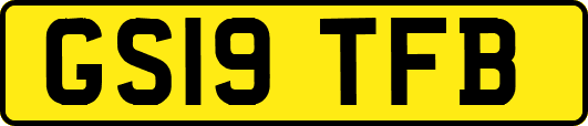 GS19TFB