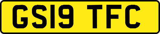 GS19TFC