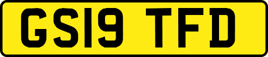 GS19TFD