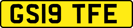 GS19TFE